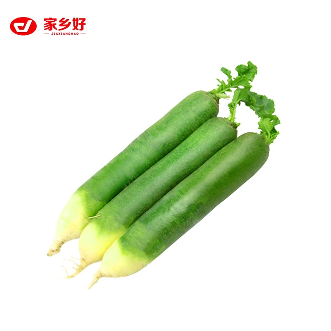 青萝卜 400g     青萝卜