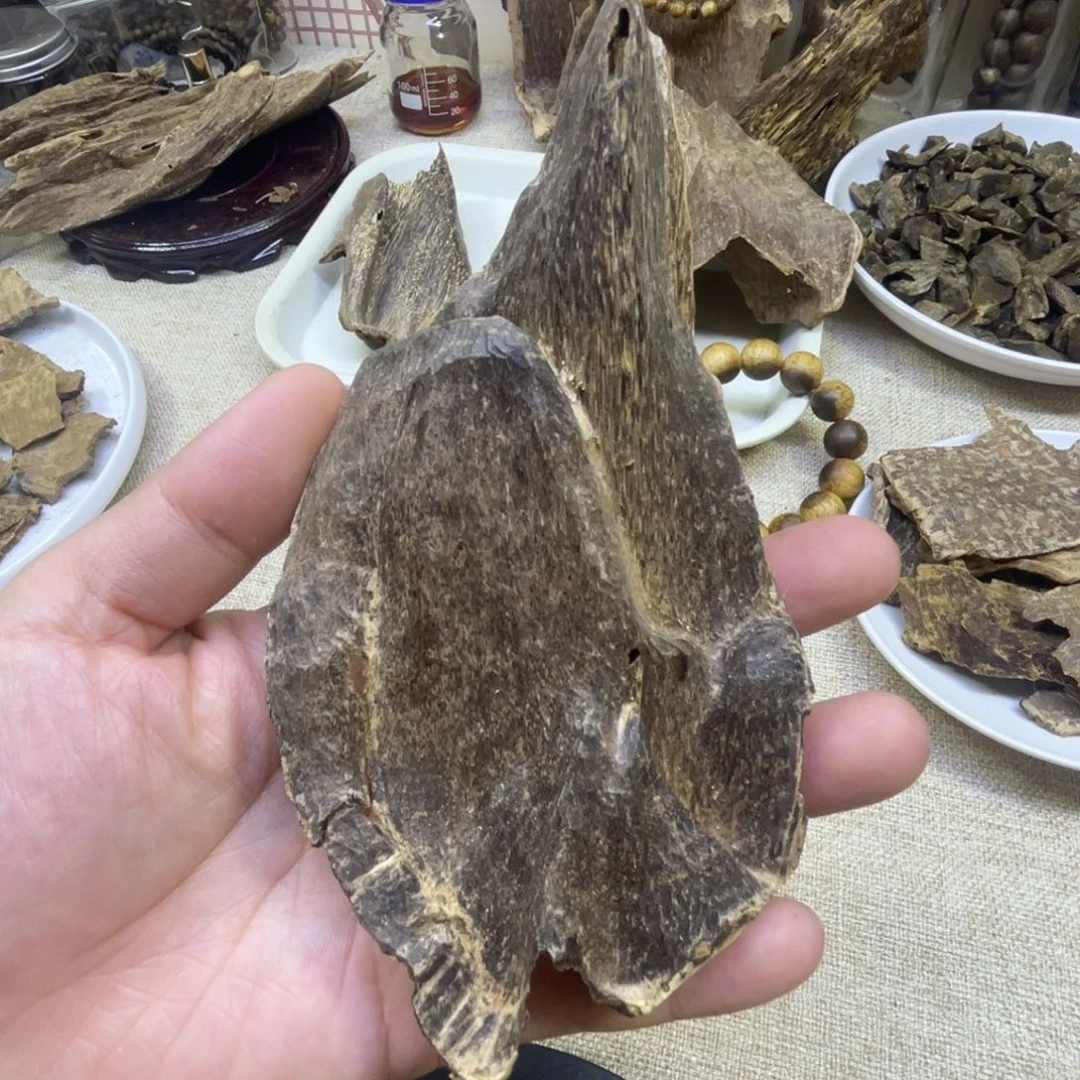 香料海南沉香野料壳子11克