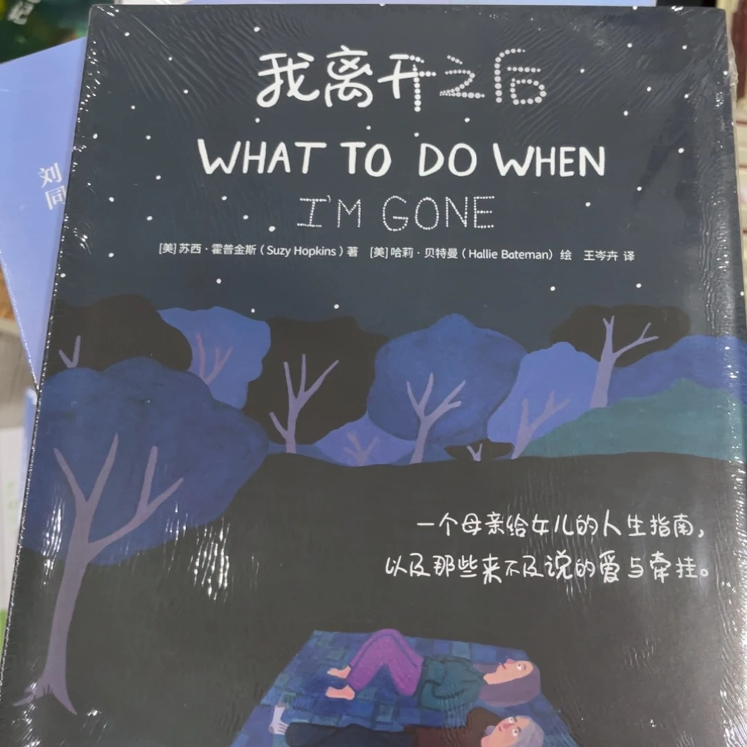我离开之后精装一个