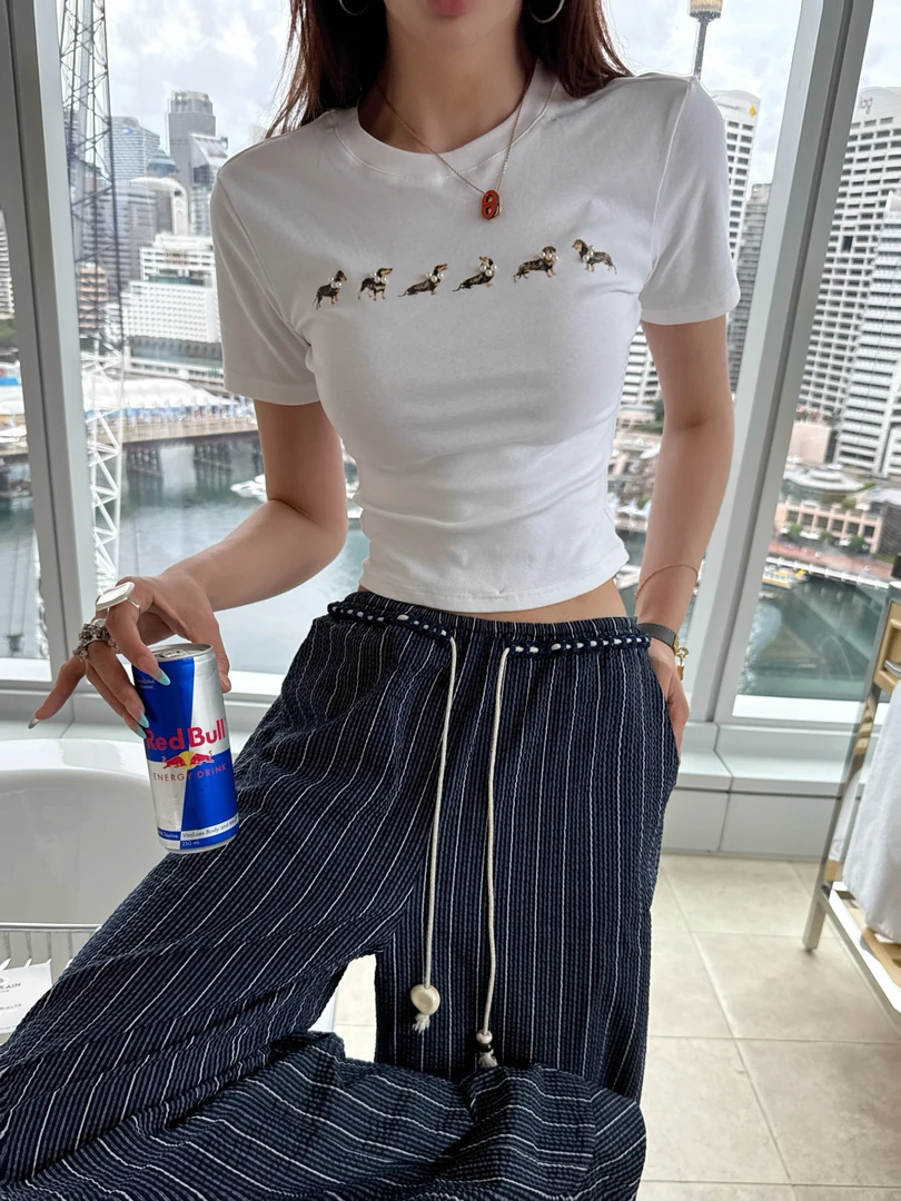 婉君【jennie同款T恤】韩系腊肠狗卡通印花短袖百搭上衣LWJ25A1T716