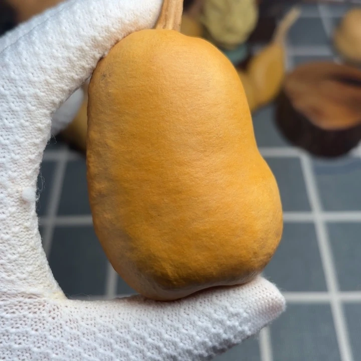 启***程霉6666666666666666