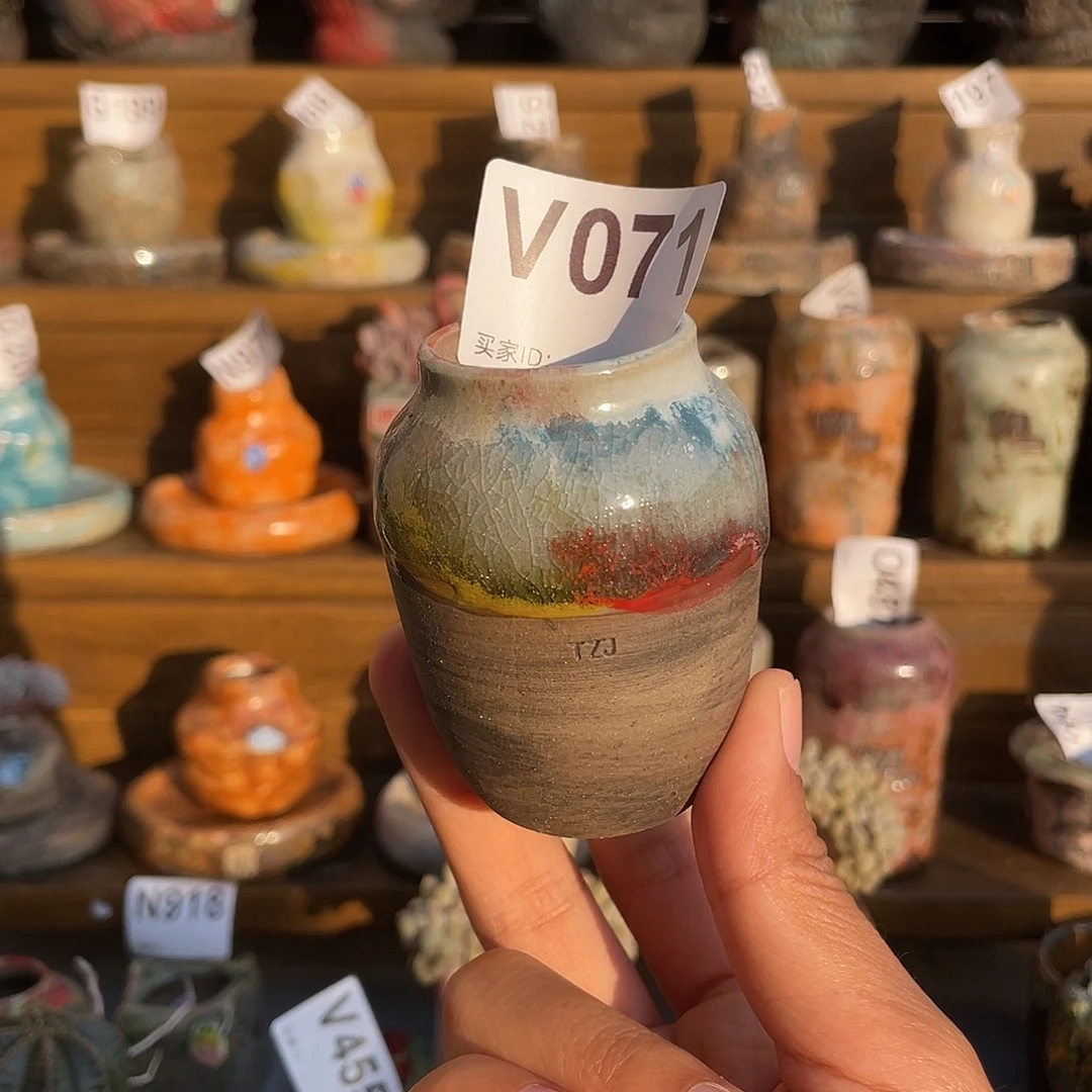 坛子姐花盆 拇指盆内口3