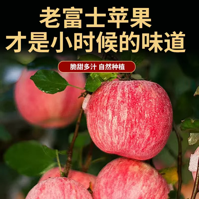 吉县 旱地老富士 红富士苹果礼盒装