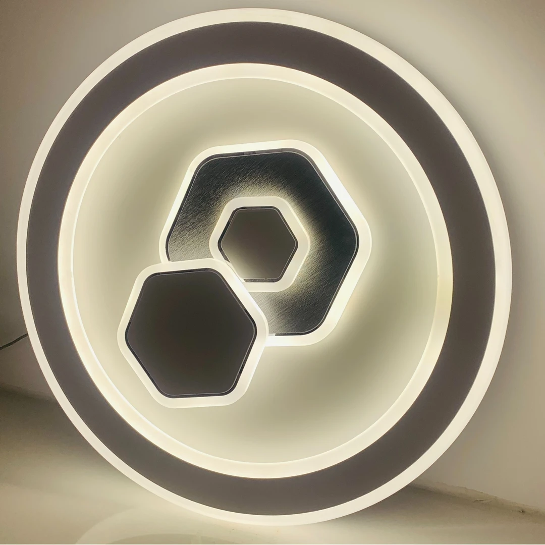 吸顶灯家用简约大气 W305-500圆