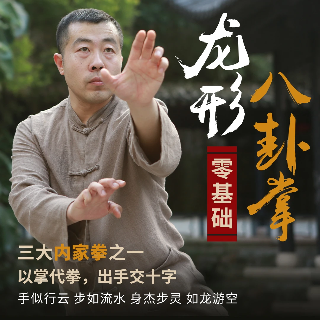可调节臂力器+龙形八卦掌自学教程入门到实战格斗武术视频课