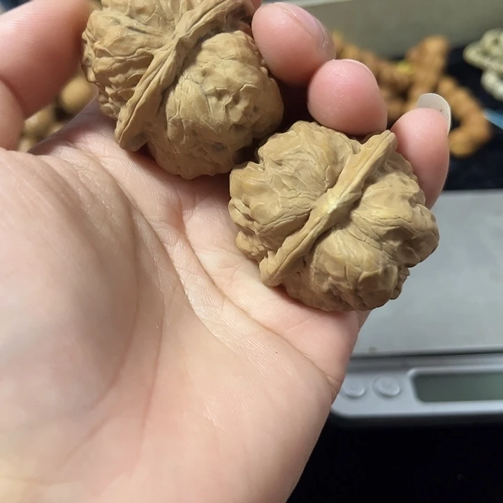 文玩核桃把件40左右瑕疵蛤蟆头，编号029