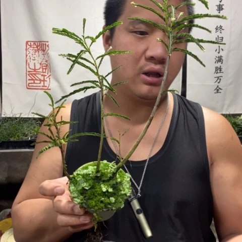 阿****）一物一拍所见即所得182