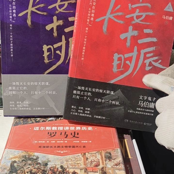 长安十二时辰两本一套平装