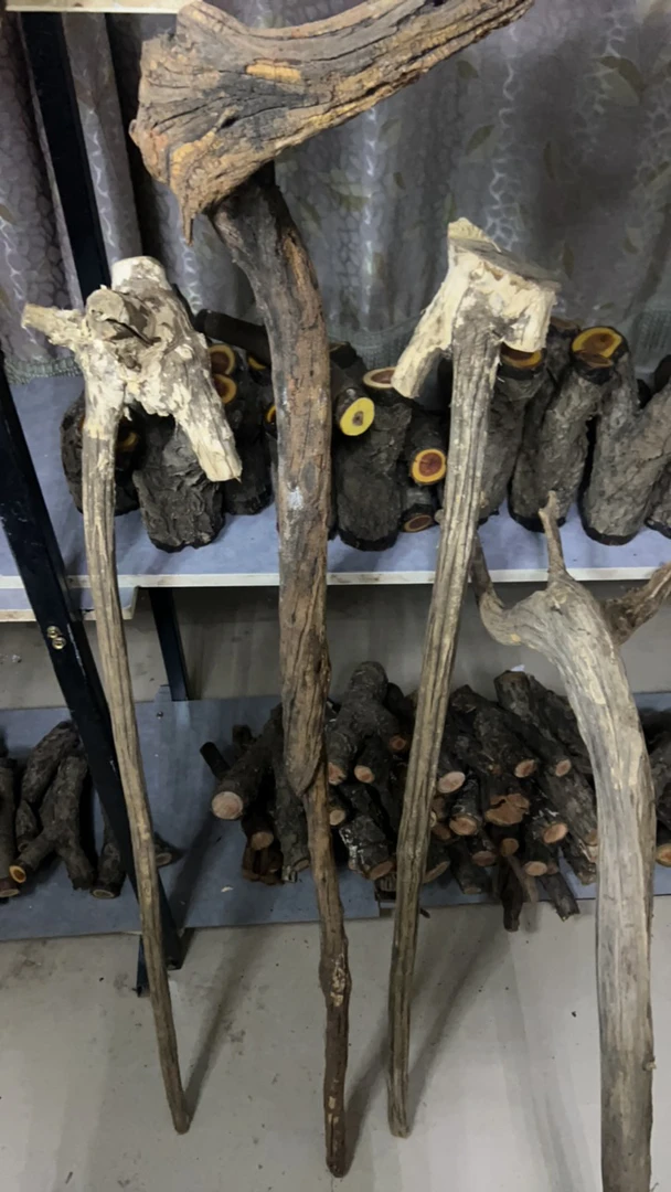 火琉璃降龙木盘玩拐杖