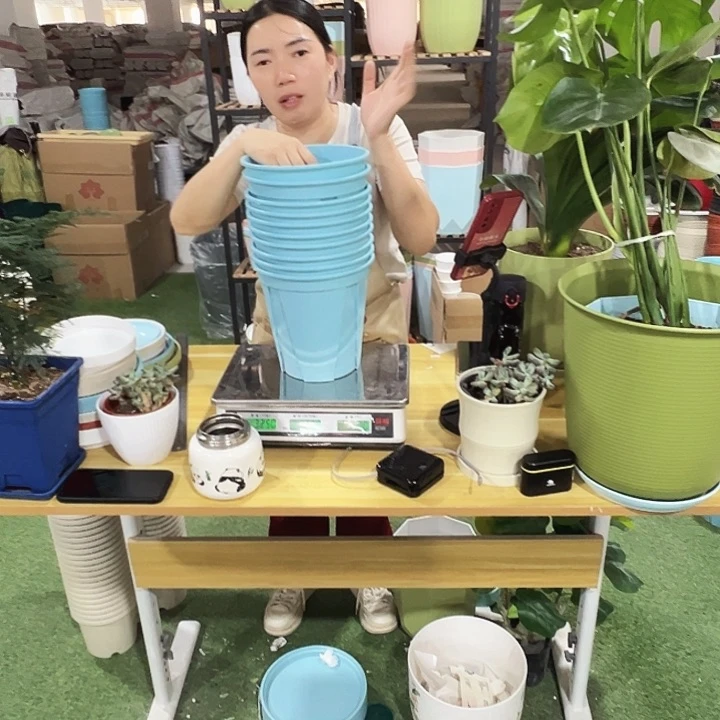 青山盆口21高21蓝色无托10只