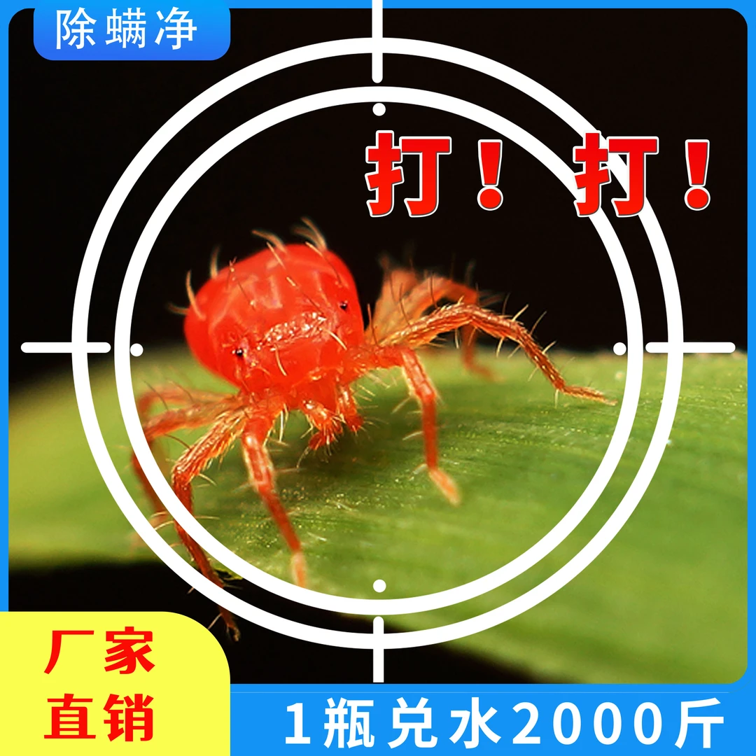 红蜘蛛专用除螨净锈壁虱叶螨通打农用助剂柑橘脐橙蜜柚果树通用