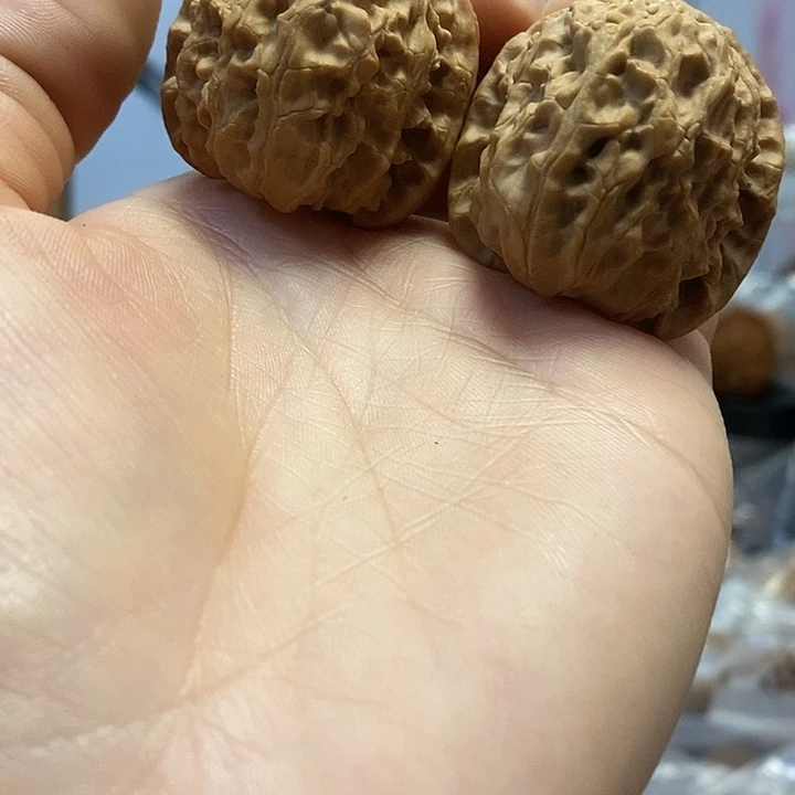 文玩核桃把件36白狮子老树