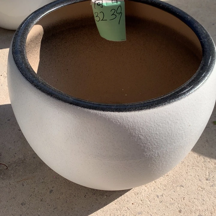 花盆里的小猫咪们都好可爱啊