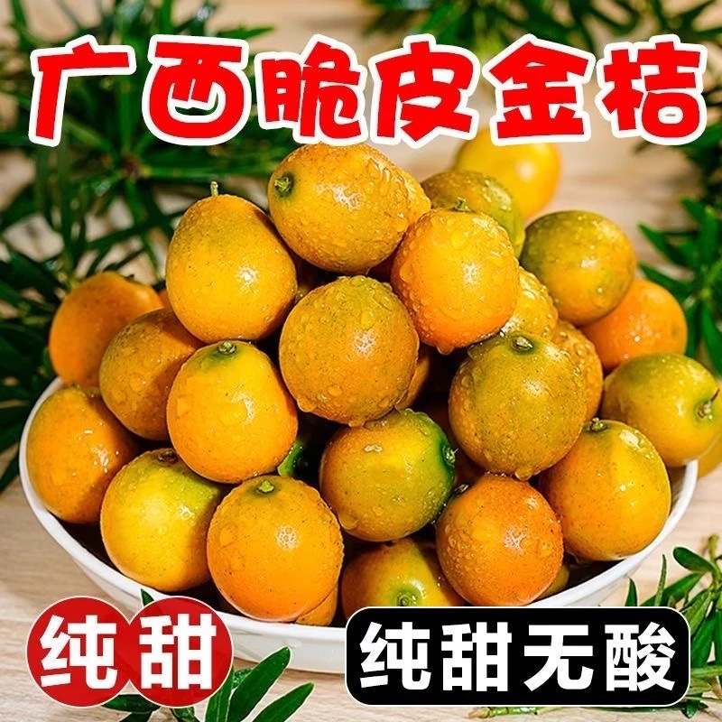 广西融安二代脆皮金桔纯甜无酸滑皮小金橘现摘新鲜应季水果