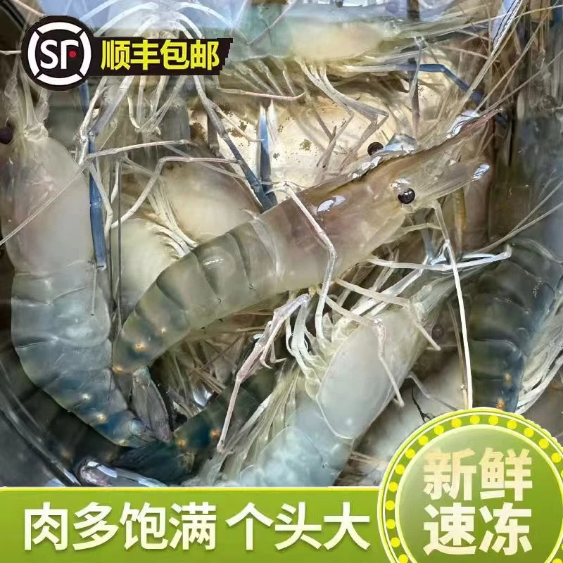 4斤罗氏沼虾一斤15-20只顺丰冷链包邮