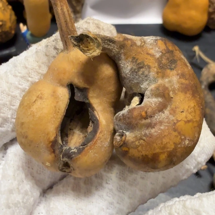 仗***涯676677777778888888999888