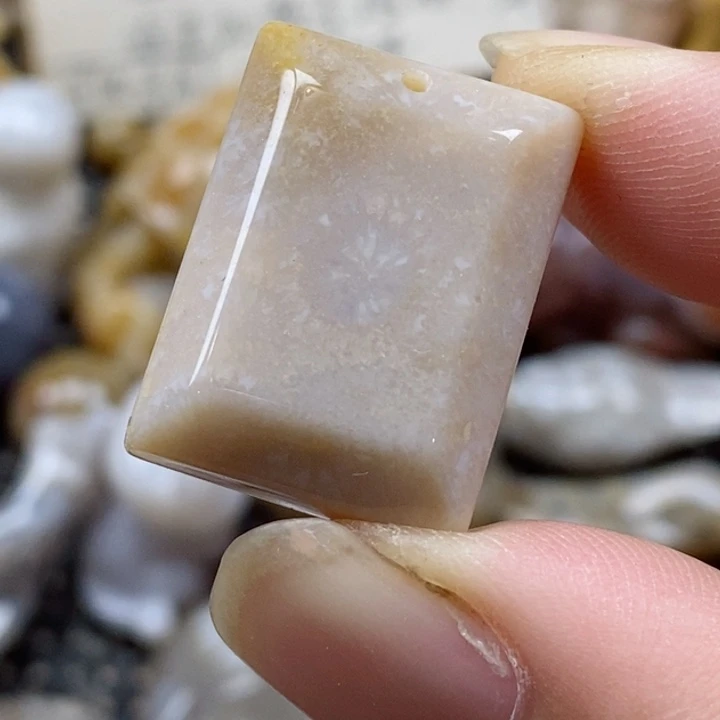 颈饰未镶嵌硅化珊瑚（珊瑚玉）小