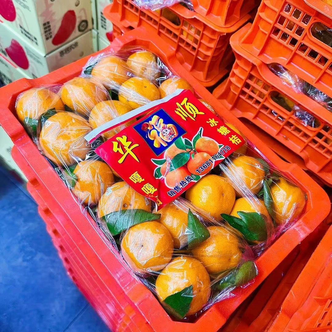 小叶橘 筐/毛重5.8左右