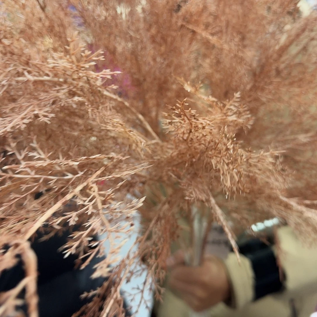 647号咖色10枝大支