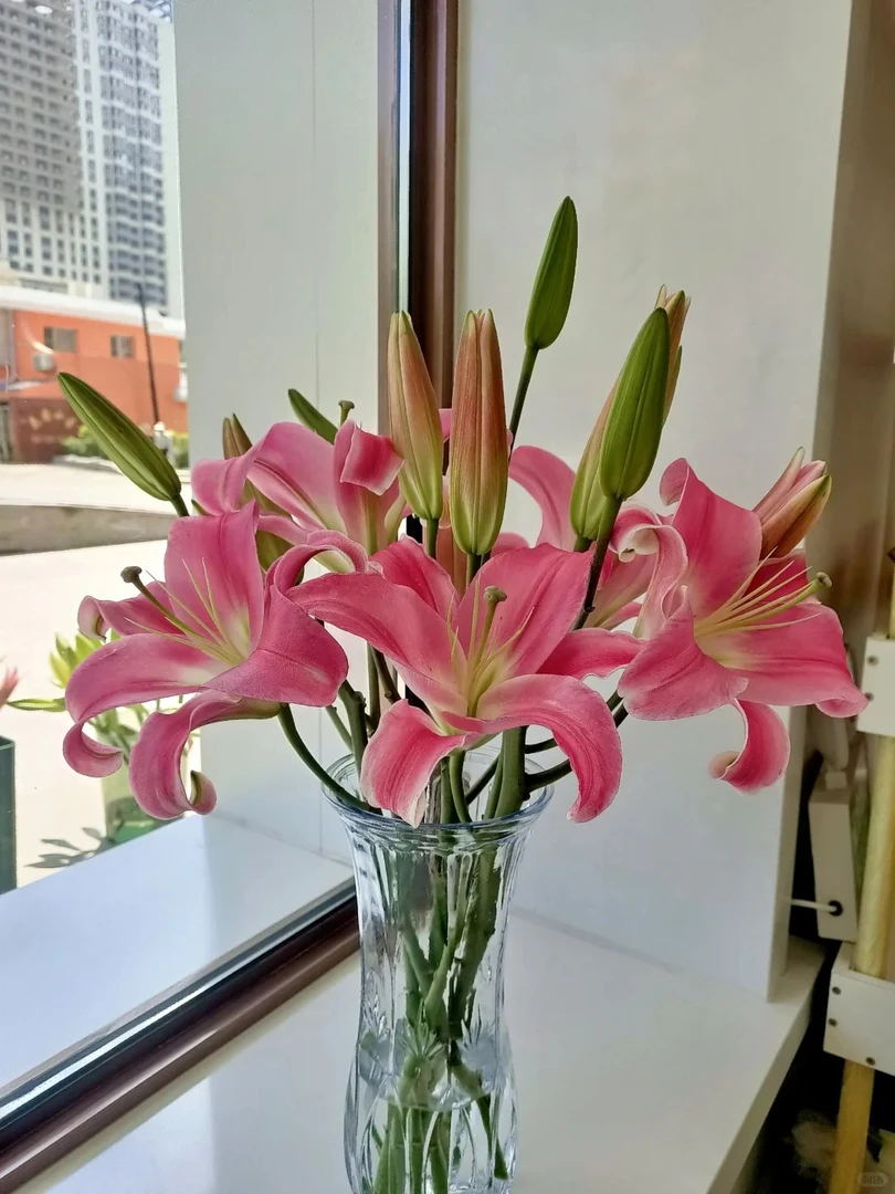 【源头优选】罗宾香水百合云南直发鲜花家居水养插花鲜切花