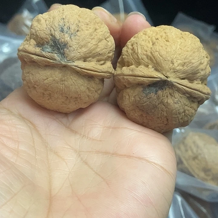 木质类云南铁核桃+27