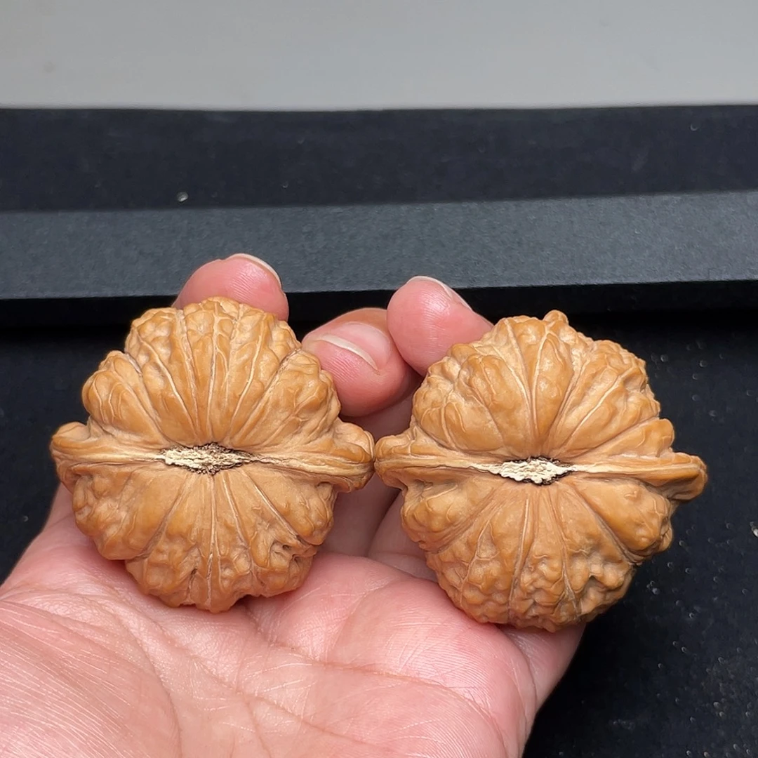 把件猴头核桃48×45全品头茬南瓜墩XM1061