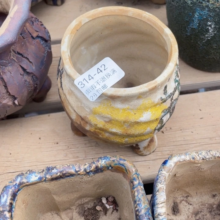 倒*?42号多肉盆一个