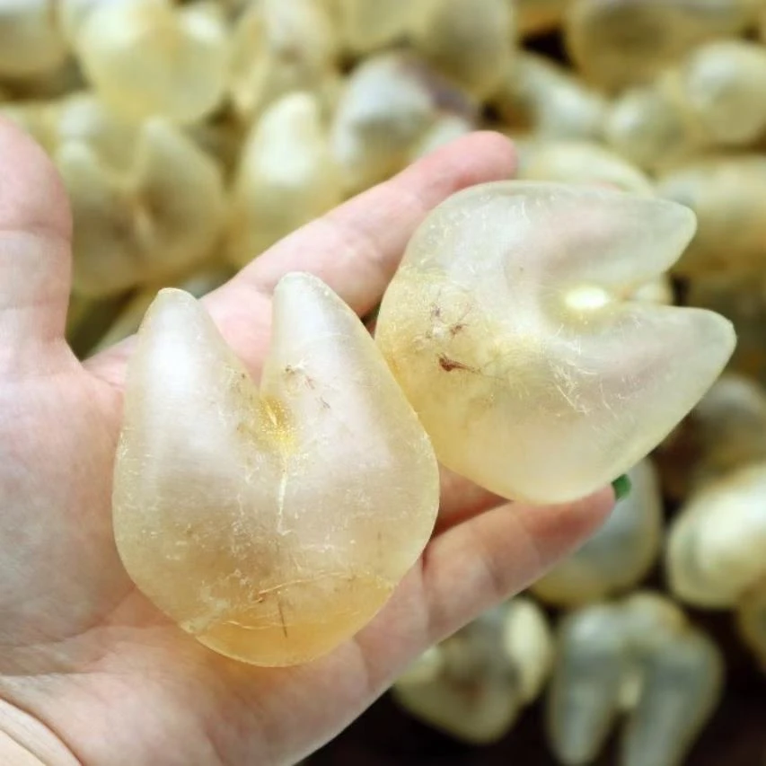 海南鸡泡胶鱼肚刺龟胶花胶鱼泡鱼鳔备孕产妇干货海鲜子宫内膜鱼胶