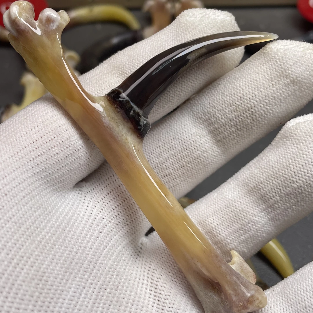 鑫源骨艺鸡爪骨手把件水墨单只