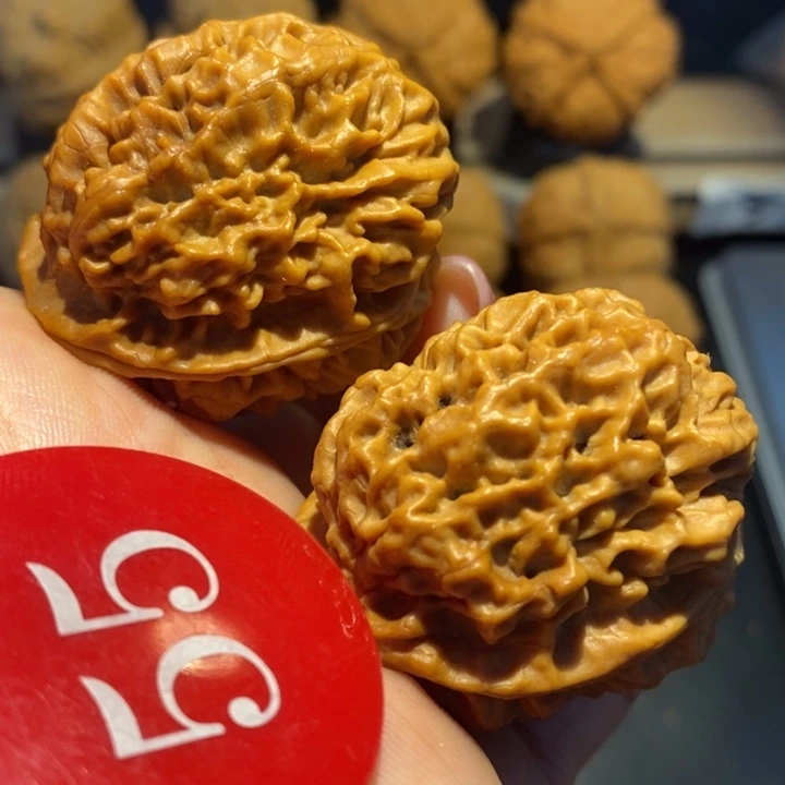 核桃珊瑚石核桃尺寸40