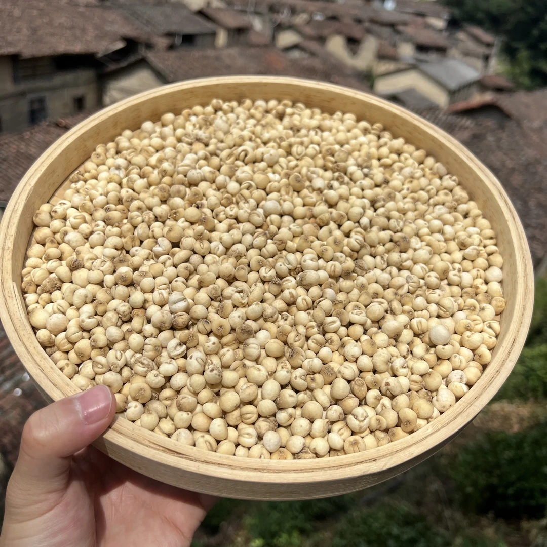 【跑山娃甄选】农家 川贝