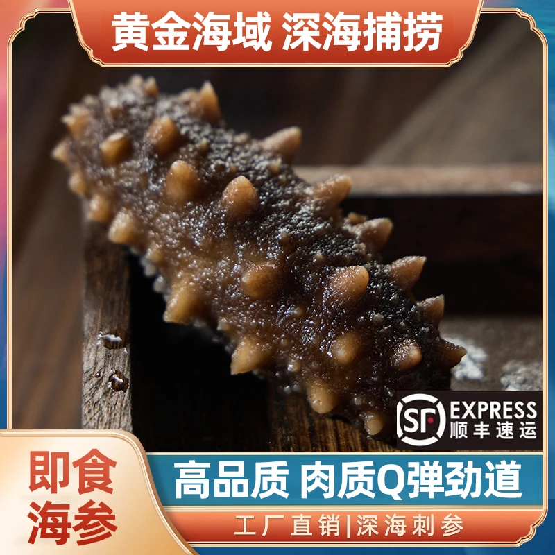 (爆品福利)鲜食海参买一送一到手两斤装即食营养独立包装高营养