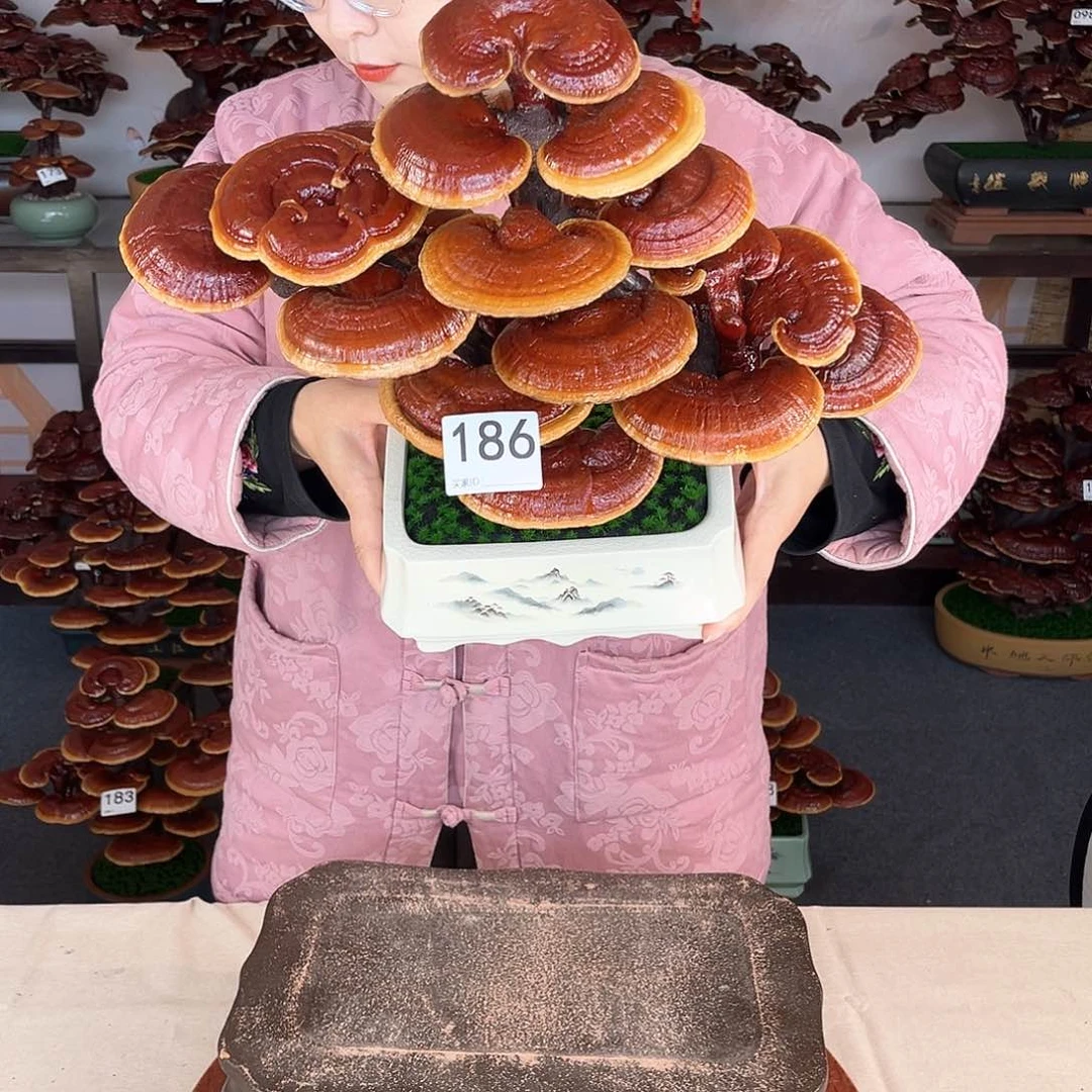 万事如意88888186