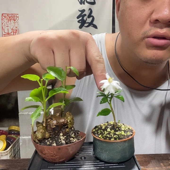 ?****果退款拉黑一物一拍172