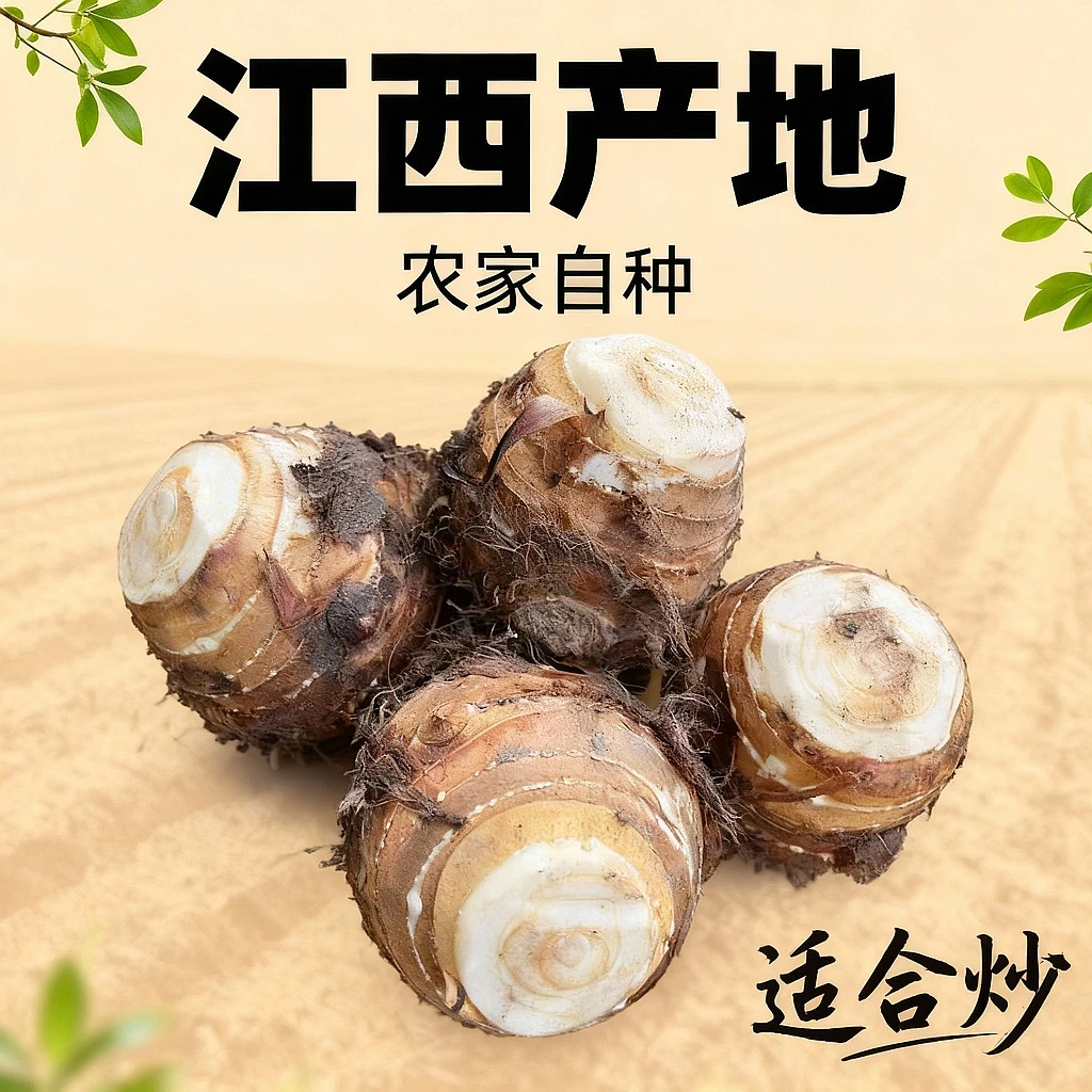 江西芋头母新鲜芋母炒丝酸辣芋母丝农家蔬菜特产