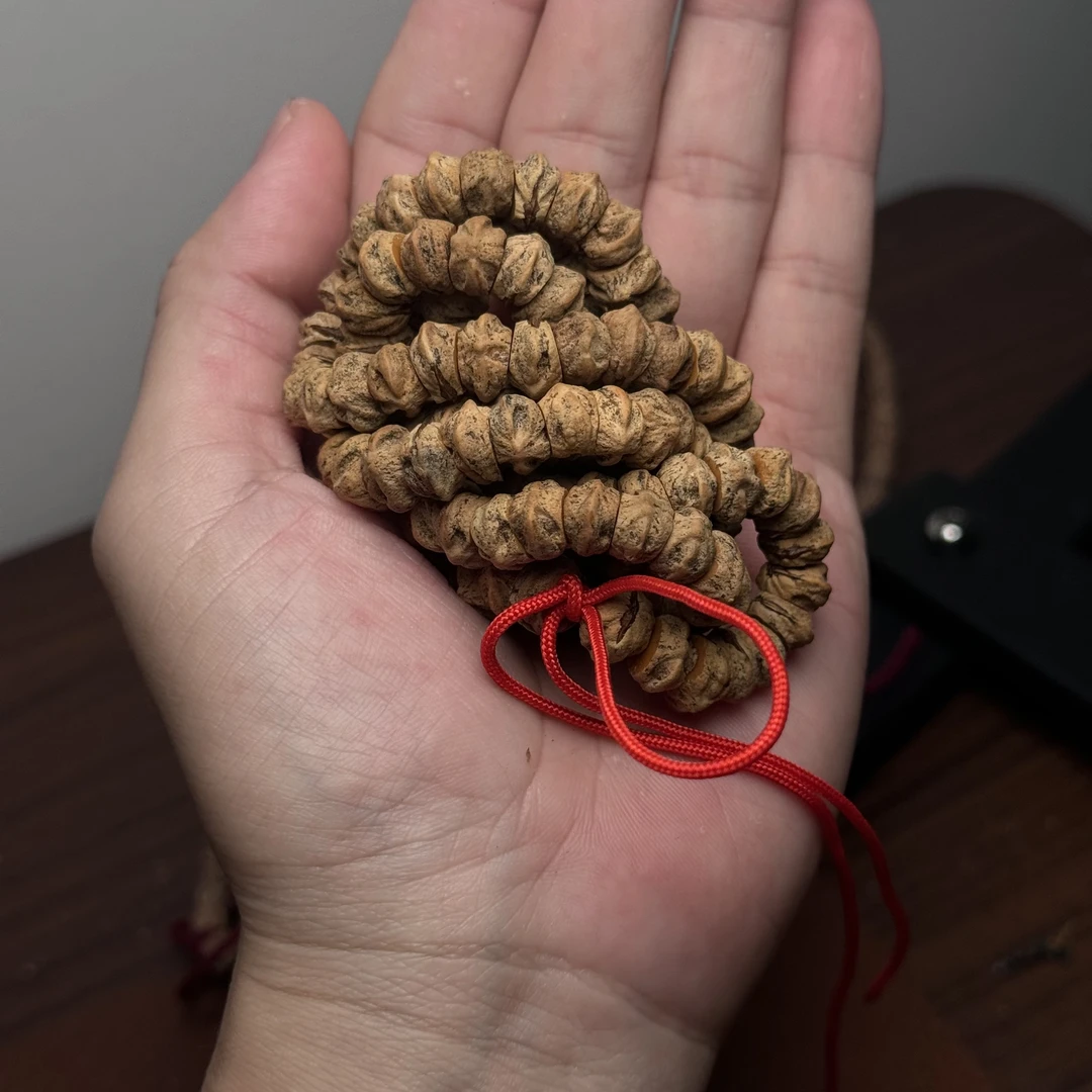 热振柏香籽红芽斜切尺寸8➕