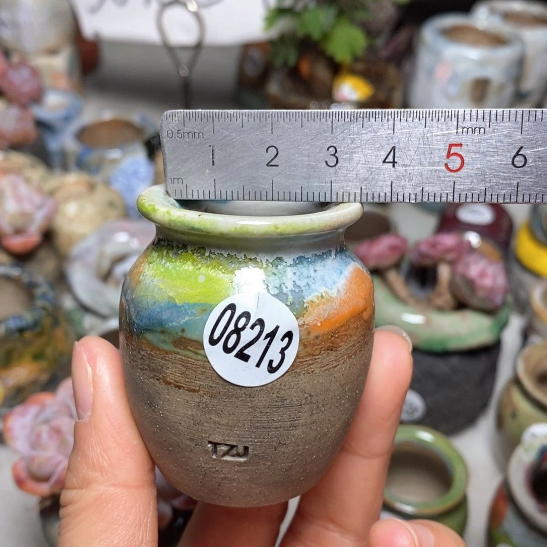 花盆拍5送一个小礼物