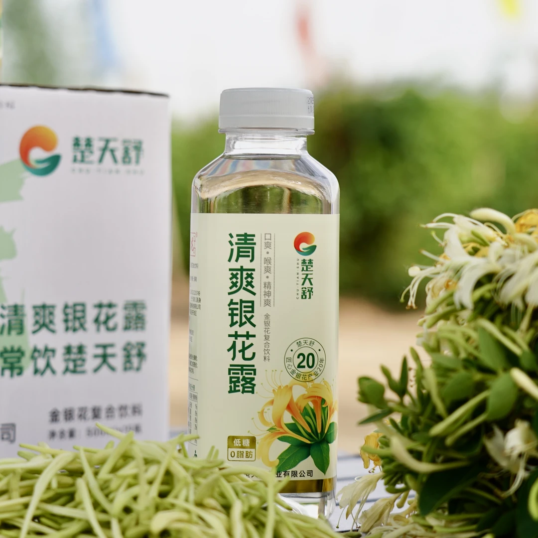 楚天舒金银花露无香精金银花茶饮品成人儿童饮料金银花水