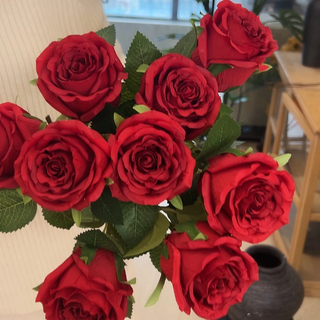 抖音直播福利九只