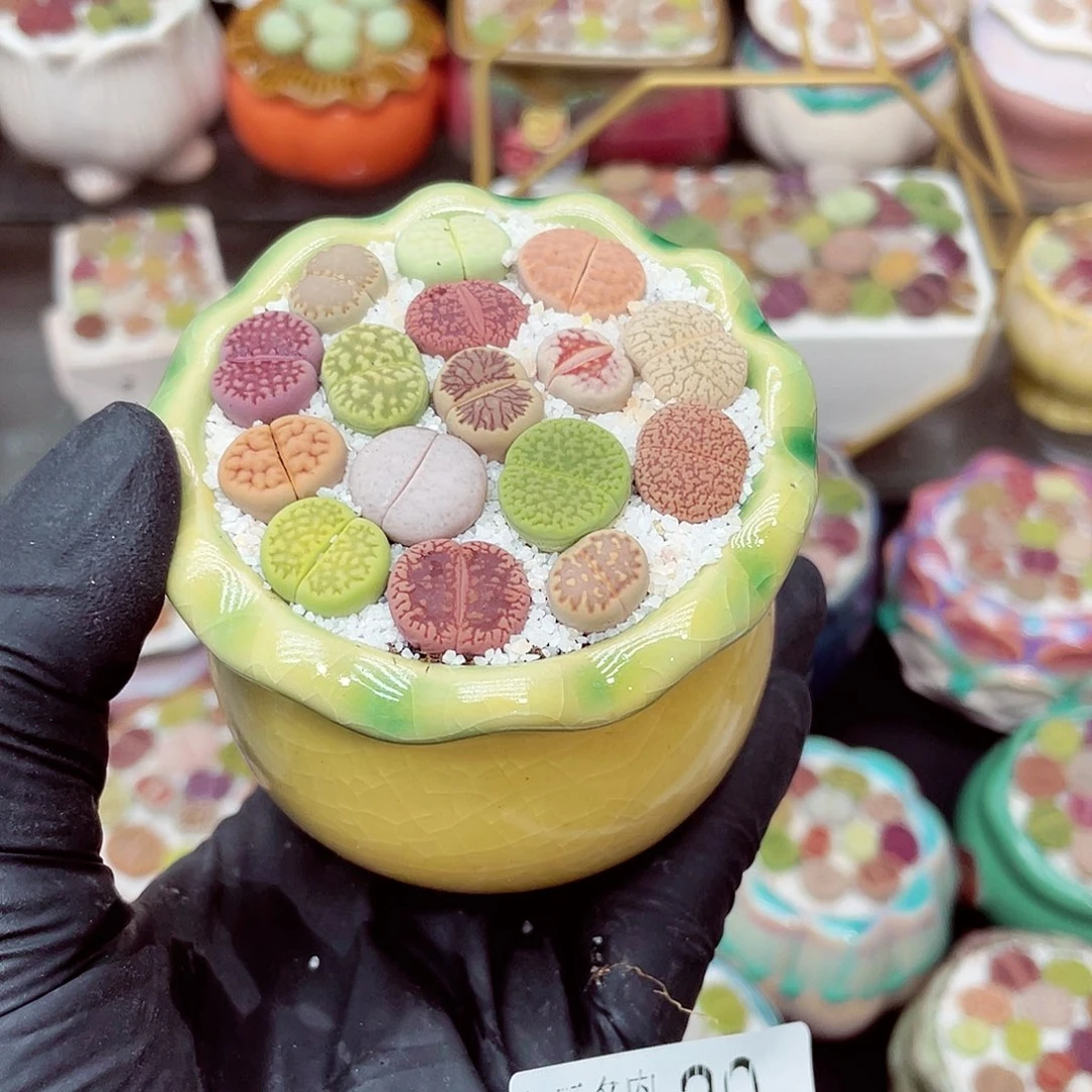 郎哥18包邮0621-20