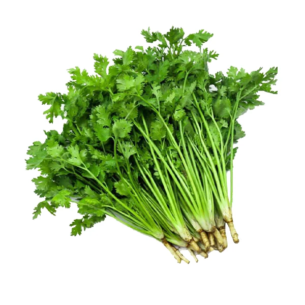 香菜200g
