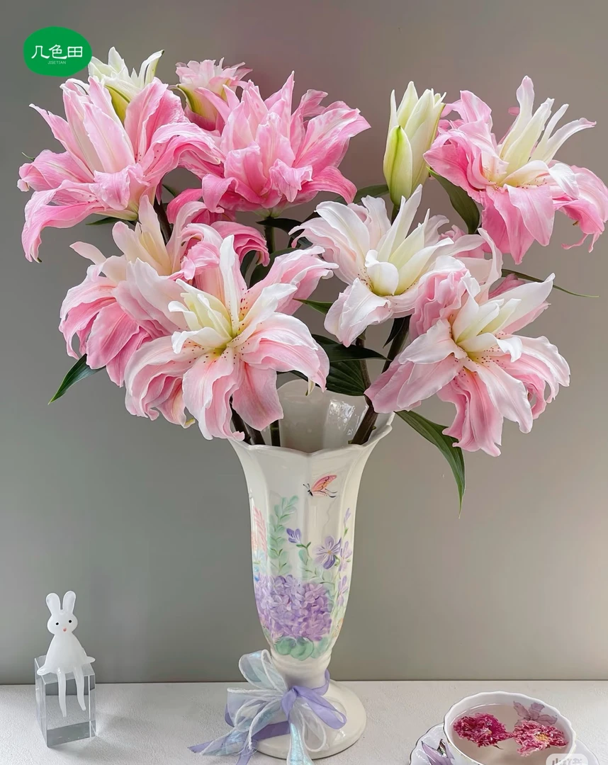 A级多头黛安娜（3枝）----重瓣百合云南直发鲜花