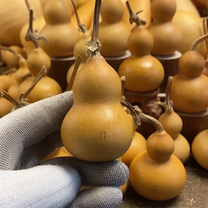 文玩葫芦 完美主义者 慎拍77