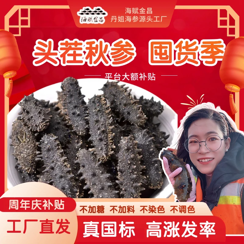 【头茬秋参】海赋金昌丹姐海参80-90头/斤500g口粮参品质保证