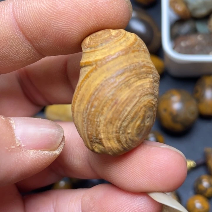 石材纯天然原石奇石28