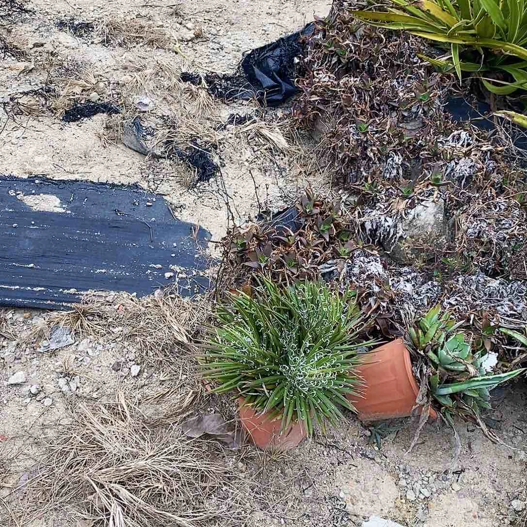 用****900000000000000000