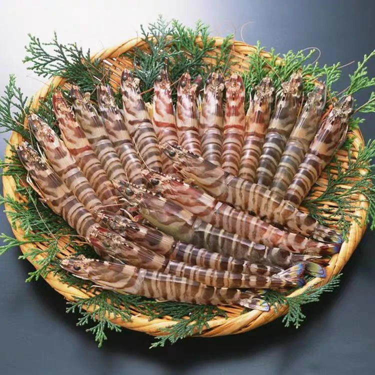 C青岛当地纯野生斑节虾，花虾，竹节虾，一斤20-30只，净重两斤加两只