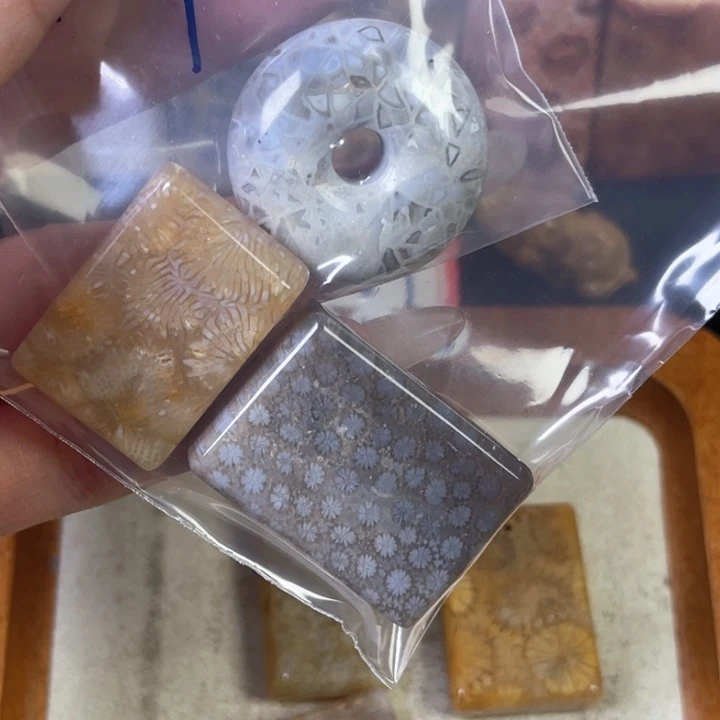 硅化珊瑚（珊瑚玉）珠宝金石合金青****旧