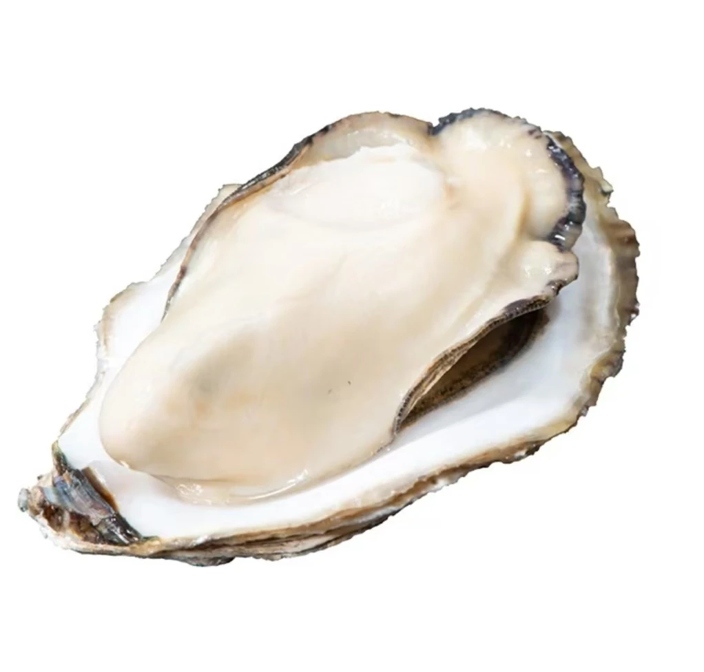 乳山生蚝 5+鲜活海鲜水产 顺丰到家