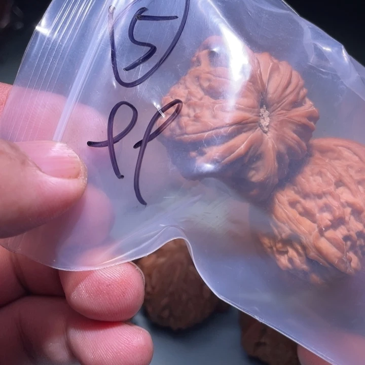 孟***文玩核桃吊坠5eeee